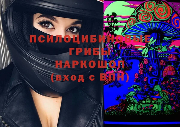 spice Арсеньев