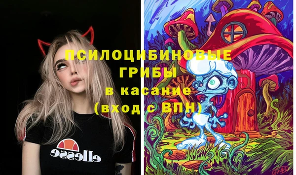 ECSTASY Армянск