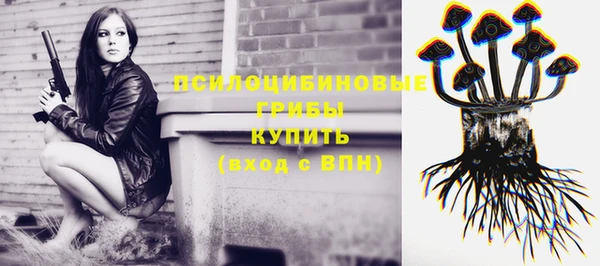 spice Арсеньев