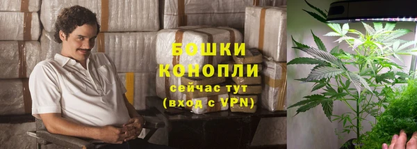 ECSTASY Армянск