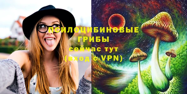 spice Арсеньев