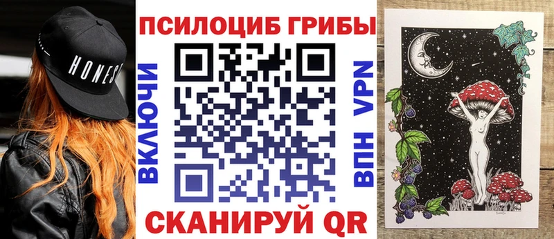 нарко площадка формула  OMG онион  Починок  Псилоцибиновые грибы мицелий 