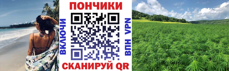 купить наркотик  Починок  гидра ONION  МАРИХУАНА ГИДРОПОН 